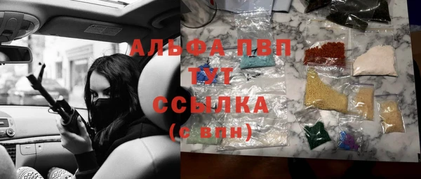 хмурый Алексин