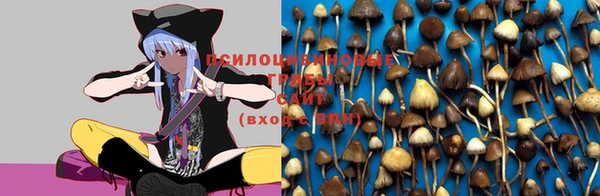 а пвп мука Алзамай