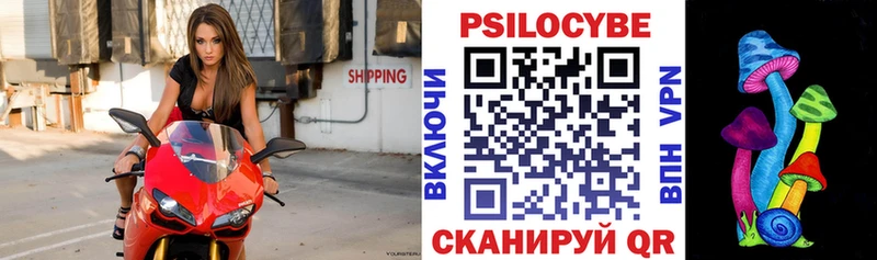 hydra ССЫЛКА  Фёдоровский  Галлюциногенные грибы мицелий 